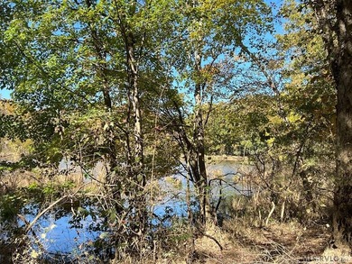 Gorgeous Island Creek Reservoir unrestricted waterfront land - photo 6