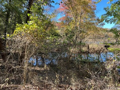 Gorgeous Island Creek Reservoir unrestricted waterfront land - photo 7
