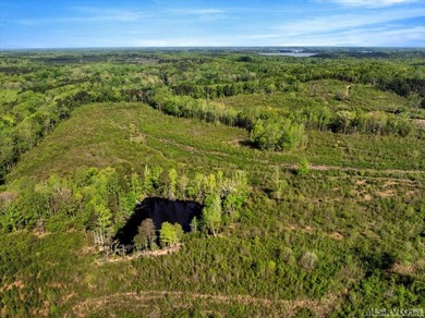 Gorgeous Island Creek Reservoir unrestricted waterfront land - photo 8