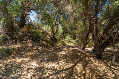 Discover this extraordinary opportunity to own a large portion - photo 9