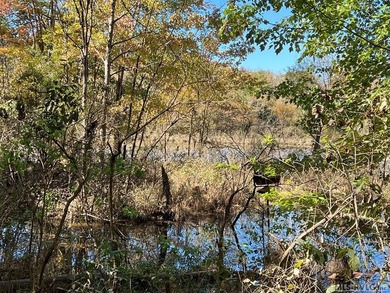 Gorgeous Island Creek Reservoir unrestricted waterfront land - photo 9