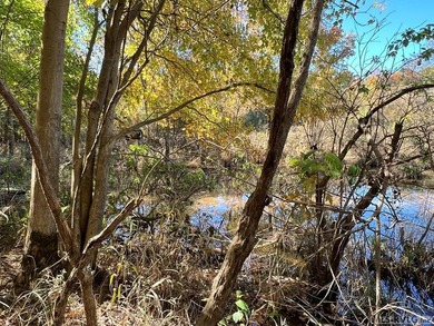 Gorgeous Island Creek Reservoir unrestricted waterfront land - photo 10