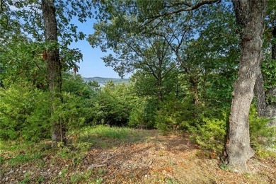 Experience breathtaking Beaver Lake views from this exceptional - photo 3