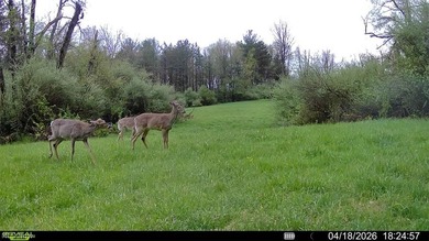 Opportunity meets legacy on this exceptional 113-acre property - photo 12