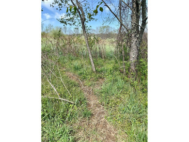 Opportunity meets legacy on this exceptional 113-acre property - photo 14