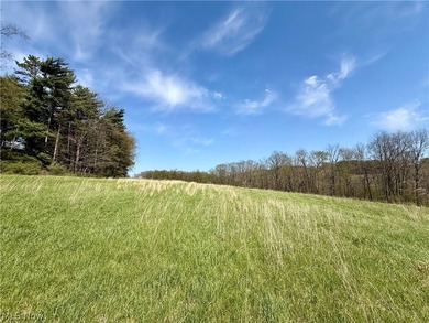 Opportunity meets legacy on this exceptional 113-acre property - photo 17