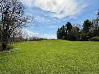 Opportunity meets legacy on this exceptional 113-acre property - photo 19