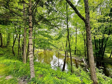 Calling all nature lovers! This tranquil property offers a 4 - photo 21