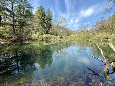 Opportunity meets legacy on this exceptional 113-acre property - photo 21