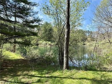 Opportunity meets legacy on this exceptional 113-acre property - photo 22