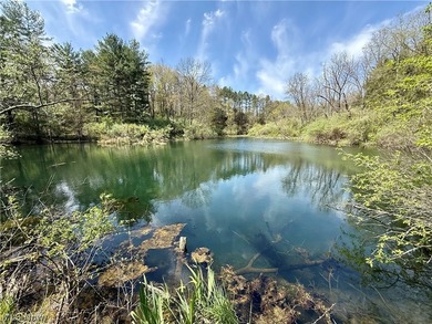 Opportunity meets legacy on this exceptional 113-acre property - photo 23