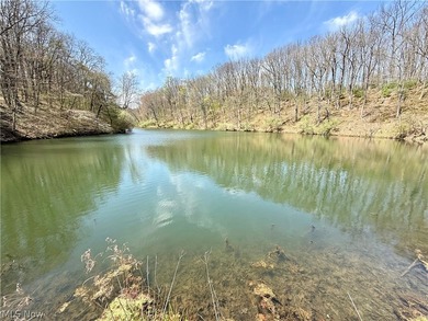 Opportunity meets legacy on this exceptional 113-acre property - photo 24