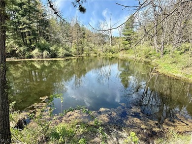 Opportunity meets legacy on this exceptional 113-acre property - photo 27