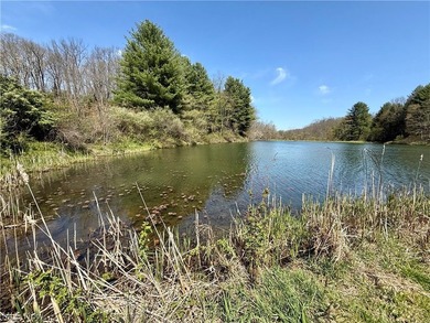 Opportunity meets legacy on this exceptional 113-acre property - photo 29