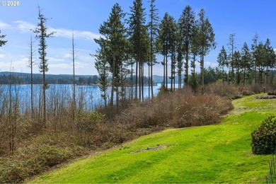 Lake life meets mountain views (from the lake) at this custom - photo 29
