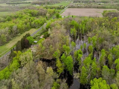 Calling all nature lovers! This tranquil property offers a 4 - photo 30