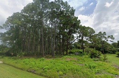 Port Charlotte Waterway Area Lot For Sale in Other City - In The State Of Florida Florida