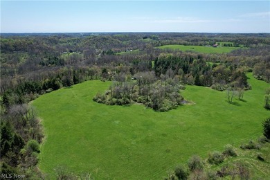 Opportunity meets legacy on this exceptional 113-acre property - photo 37
