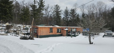 Lake Ogemaw Home For Sale in West Branch Michigan