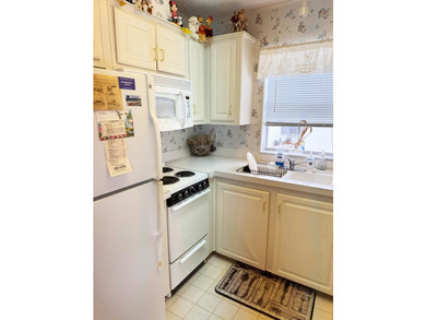 This great 1 bed, 1 bath unit at Briny Breezes offer 39 shares - photo 9