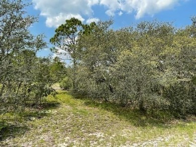 Lake Marion - Polk County Lot For Sale in Poinciana Florida