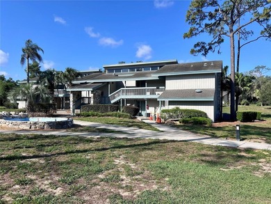Lake Marion - Polk County Condo For Sale in Haines City Florida