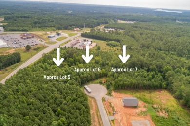 Lake Lot For Sale in Littleton, North Carolina