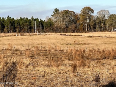 This prime real estate is a former cattle operation and is - photo 6