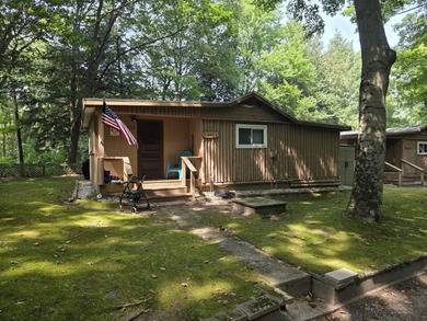 Hamlin Lake Home Active Under Contract in Ludington Michigan
