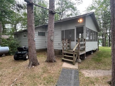 Lake Home For Sale in Ponto Lake Twp, Minnesota