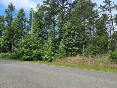 Great opportunity to choose your neighbor and build the homes - photo 12