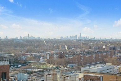 Iconic Duplex Penthouse - Panoramic Skyline Views & Expansive - photo 14