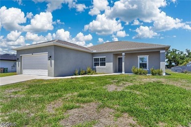 Built in 2022 and move-in ready, this Cape Coral gem delivers - photo 29