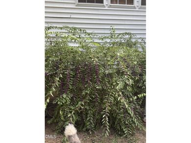 Age In Place thanks to an elevator and many other features!