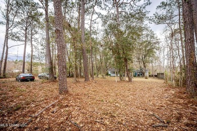 Discover exceptional potential with this 3 bedroom, 2 bath home - photo 10