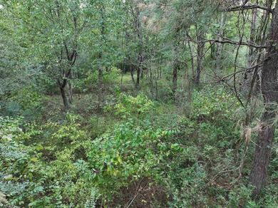 (private lake, pond, creek) Acreage For Sale in Bismarck Arkansas