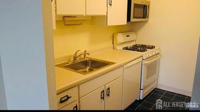 Spacious 1-bedroom at featuring stunning western sunset views - photo 4