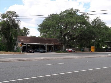 Tsala Apopka Chain of Lakes  Commercial For Sale in Inverness Florida