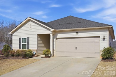 Lake Wylie Home For Sale in Charlotte North Carolina