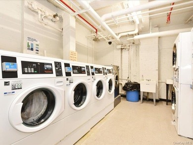 Custom Renovated 2 Full Bedroom, 1.5 bathroom Coop in Prime Rego - photo 17
