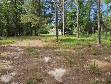 Build your dream home or weekend retreat in sought-after Holly - photo 20