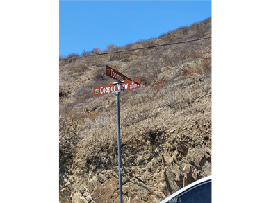 Canyon Lake Lot For Sale in Menifee California