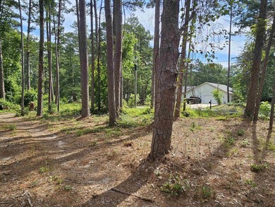 Build your dream home or weekend retreat in sought-after Holly - photo 22