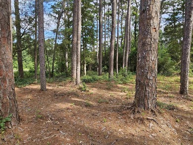 Build your dream home or weekend retreat in sought-after Holly - photo 23