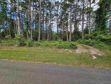 Build your dream home or weekend retreat in sought-after Holly - photo 24