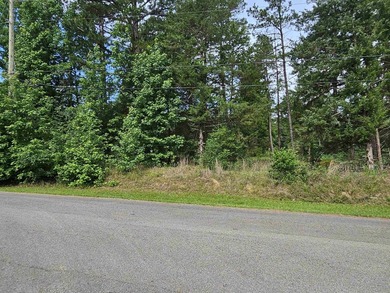 Build your dream home or weekend retreat in sought-after Holly - photo 26