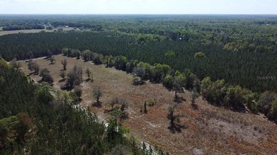 Discover the perfect blend of open space, natural beauty, and - photo 3