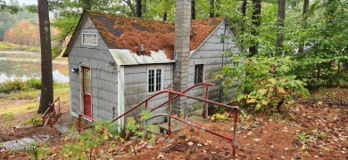 Lake Home For Sale in Acton, Maine