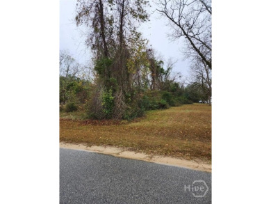 Lake Lot For Sale in Metter, Georgia