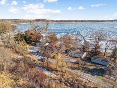 Lake Home For Sale in Elysian Twp, Minnesota